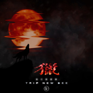 沈阳女人大战黑人28厘米视频
