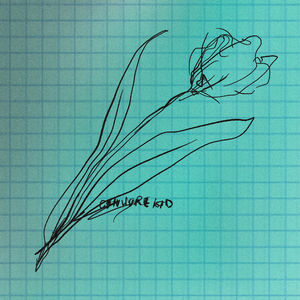 沈阳女人大战黑人28厘米视频
